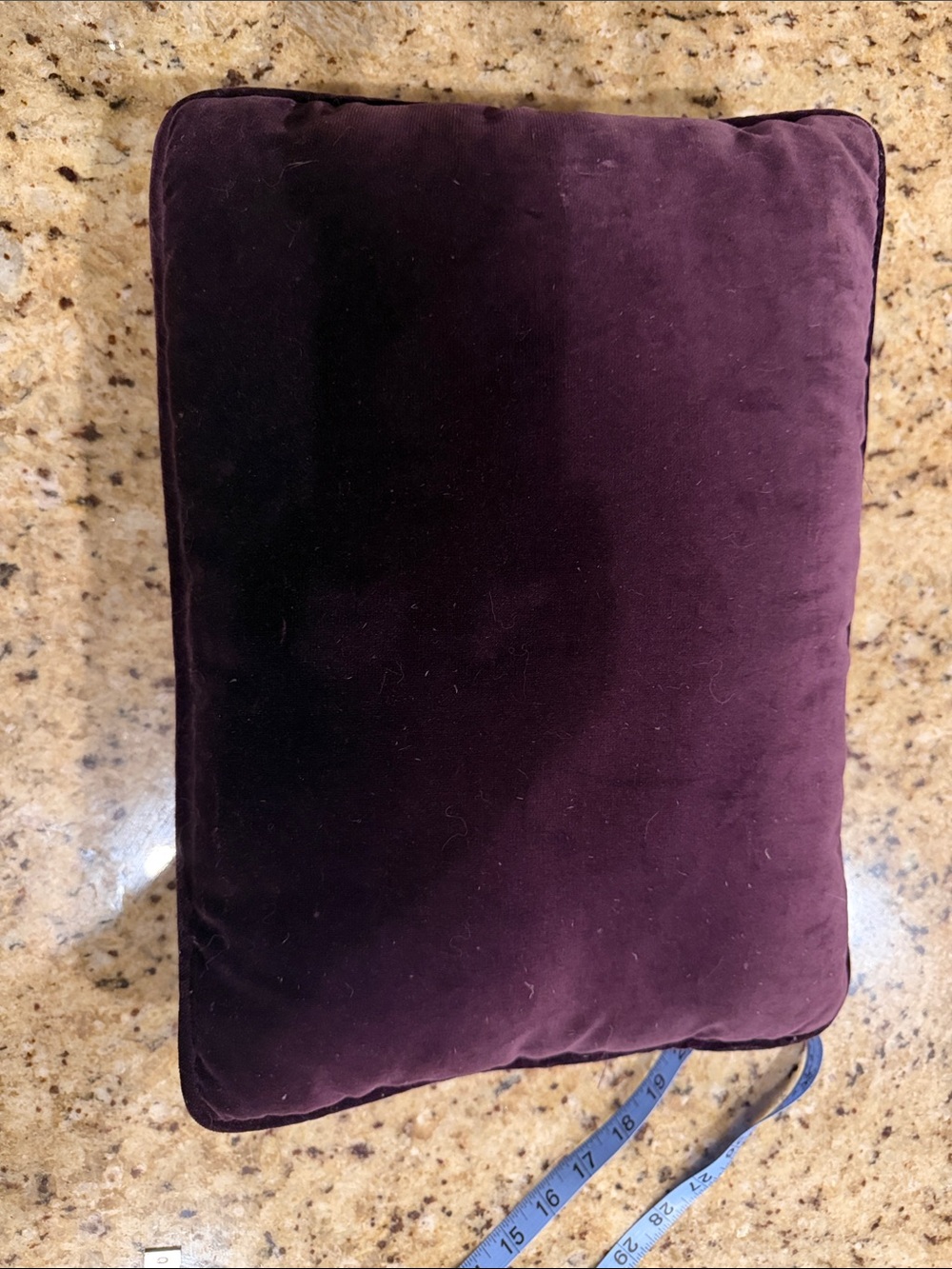 Velvet Accent Pillow in Deep Plum